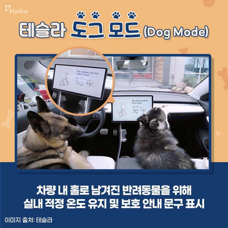 테슬라 도그 모드(Dog Mode)
: 차량 내 홀로 남겨진 반려동물을 위해 실내 적정 온도 유지 및 보호 안내 문구 표시