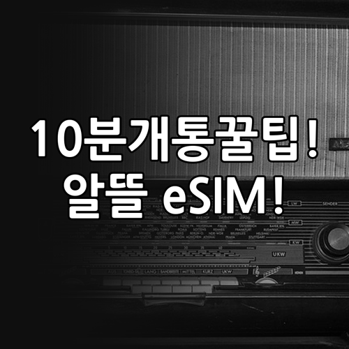 알뜰폰 eSIM 개통 10분이면 끝 ..