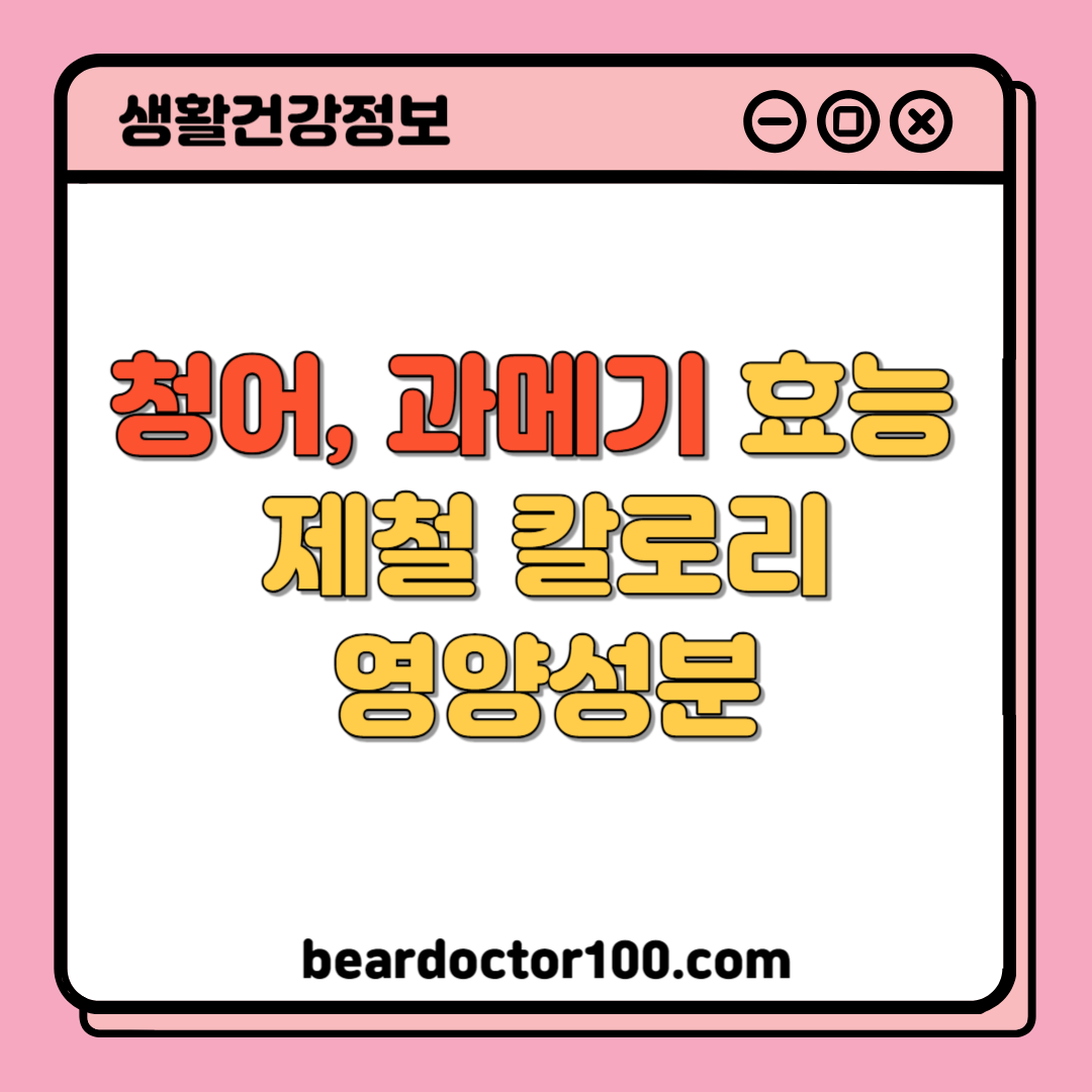 청어 과메기 효능 과메기 제철 칼로리 영양성분