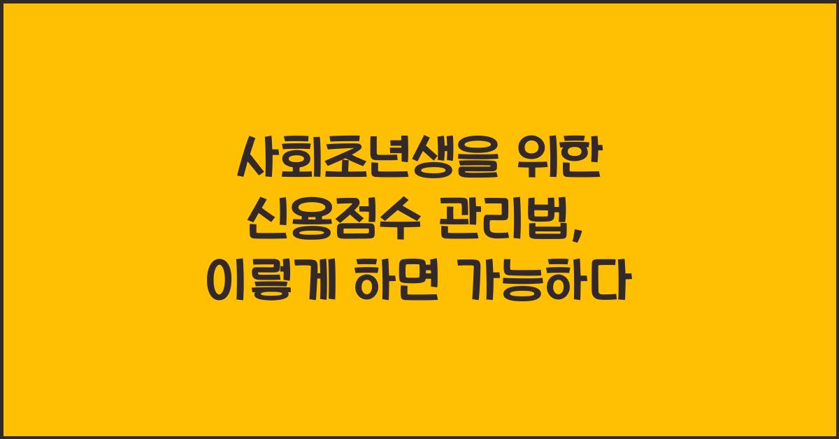 사회초년생을 위한 신용점수 관리법 (신용대출 & 카드 한도 최적화)