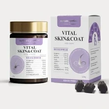 강아지 피부질환 완벽 가이드