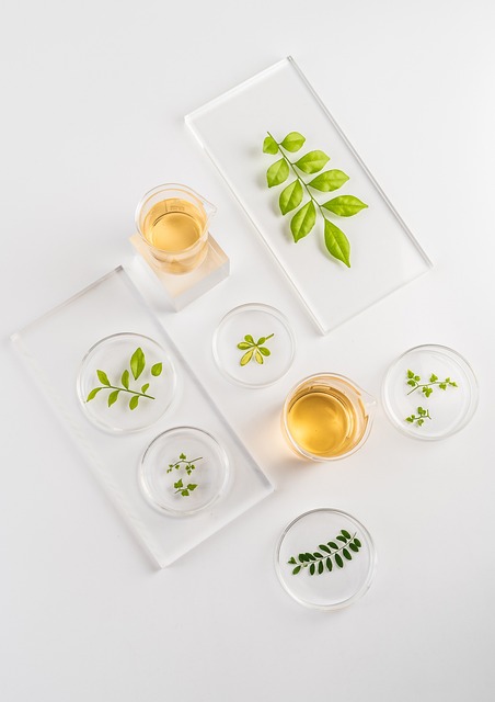 희귀 약용 식물의 보존과 현대 사회에서의 가치