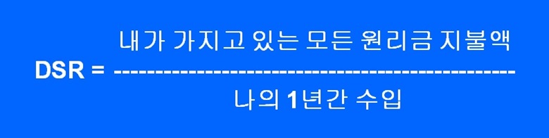 DSR을 계산하는 식을 파란색 배경에 하얀 글자로 적어놓은 사진