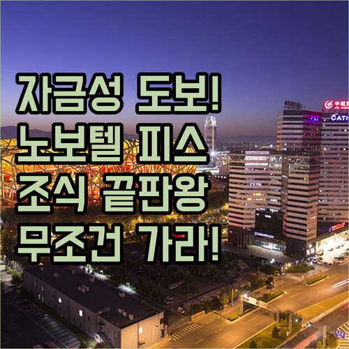 자금성 도보 이동 가능한 노보텔 베이..