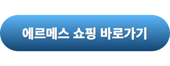 명품가방 브랜드 순위3