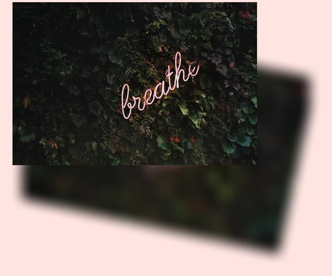 여행 중 구강 관리_1_subsection