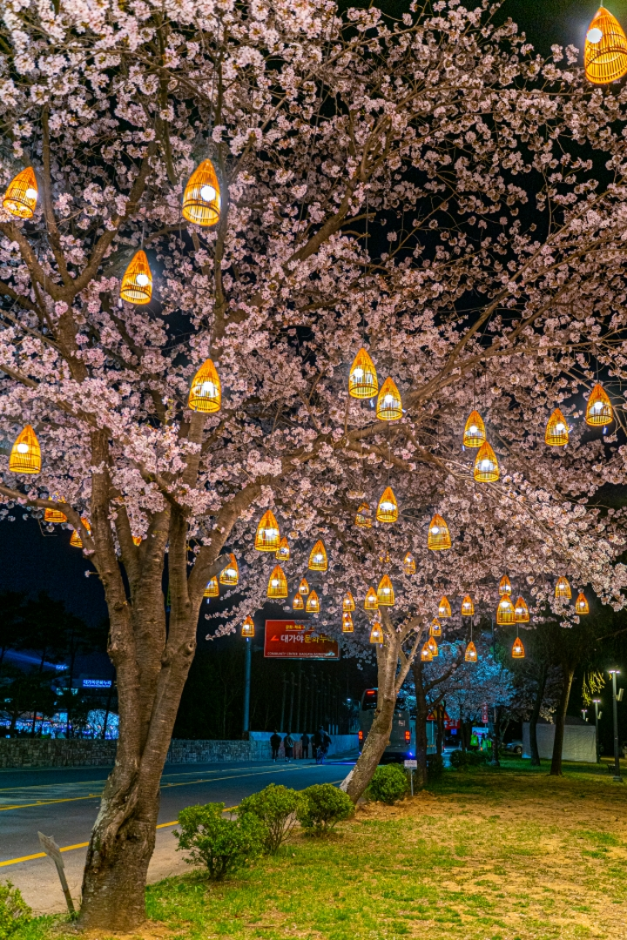 2024 고령 대가야 축제 기본 일정과 프로그램 소개