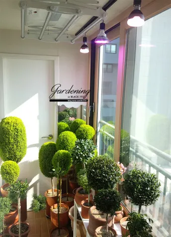 타이머 세팅 자동점등 소등루틴 식물등사용 습관 만들기 편리한 관리_10