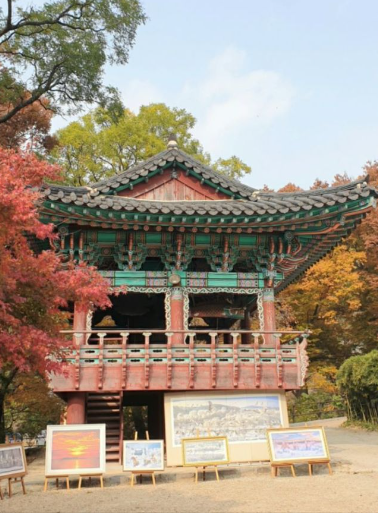 2025 계룡산 단풍 절정 시기 & 등산코스 추천 안내 ❘ 충남 가을 명소