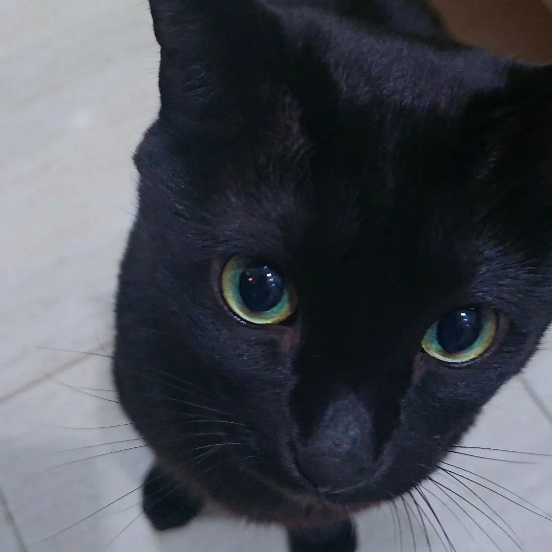 박수홍_인스타그램_이미지