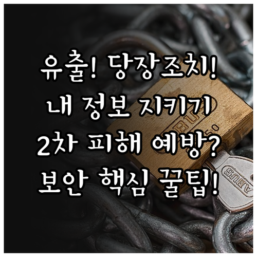 개인정보 유출로 인한 2차 피해 예방..