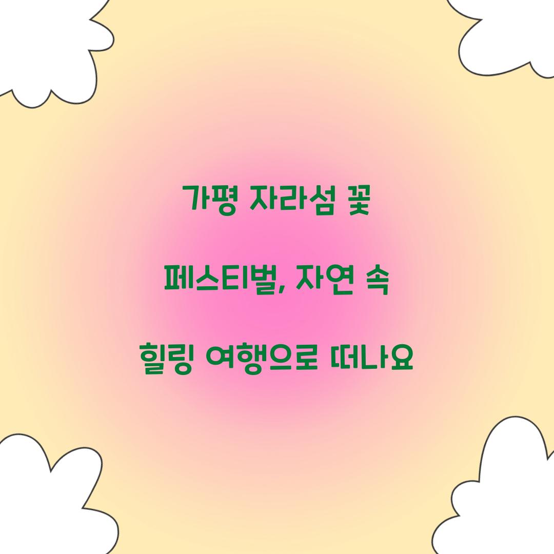 자라섬 꽃 페스티벌