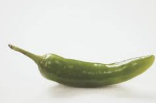 고주