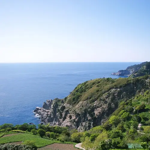 강릉 울릉도 배편