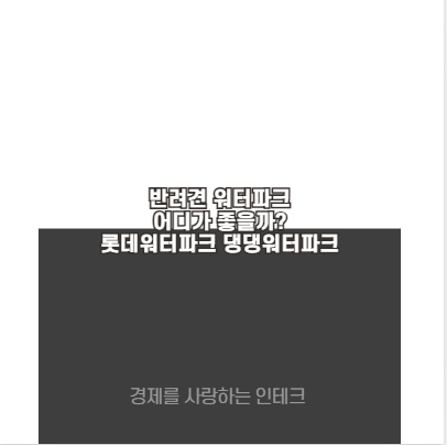 반려견 워터파크 어디가 좋을까? 롯데워터파크 댕댕워터파크