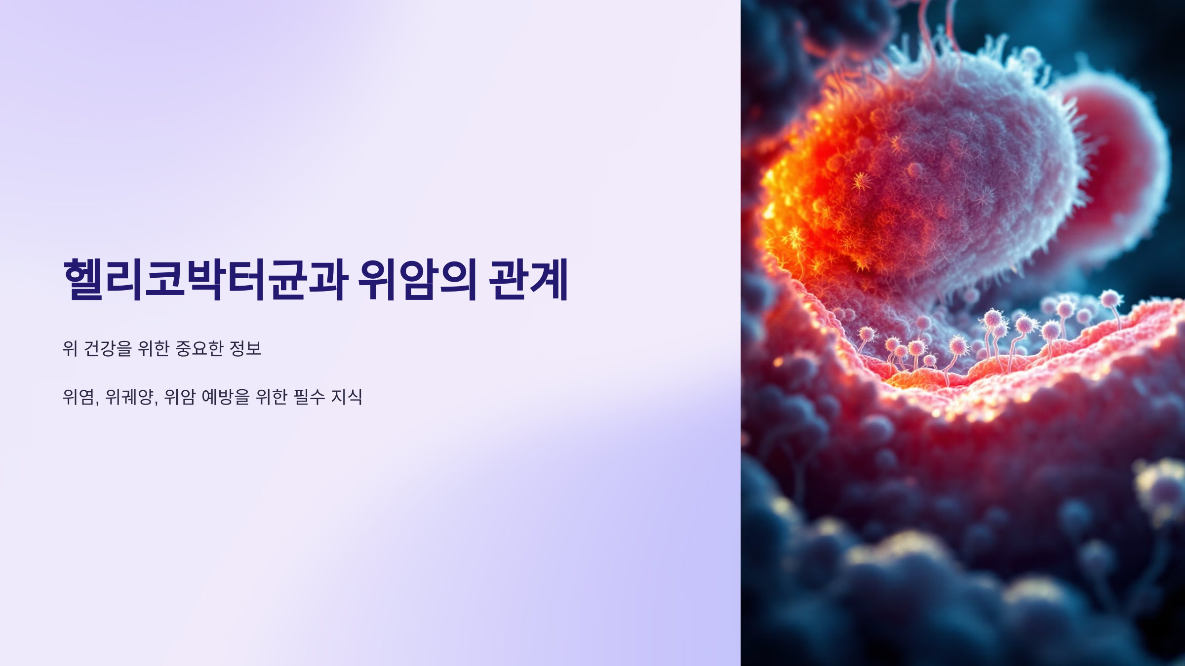 헬리코박터균과 위암의 관계