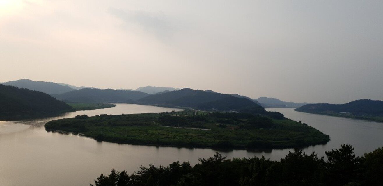 나주 느러지 전망대 수국