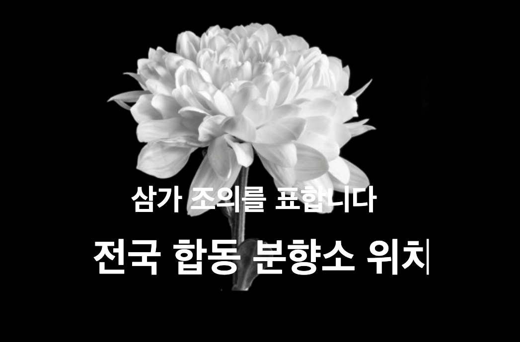 무안여객기 제주항공 사고 전국 합동분향소 위치