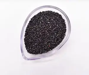 검은-깨-사진