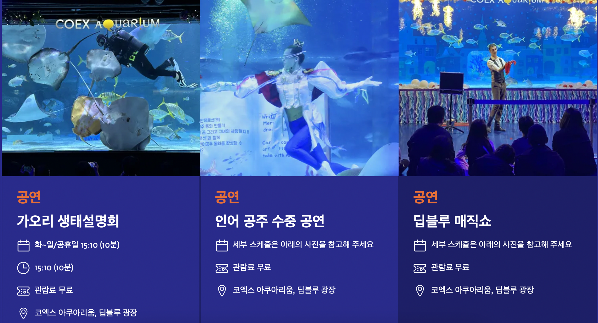 서울 실내 나들이 추천, 코엑스 아쿠아리움 예약 방법 및 할인 혜택