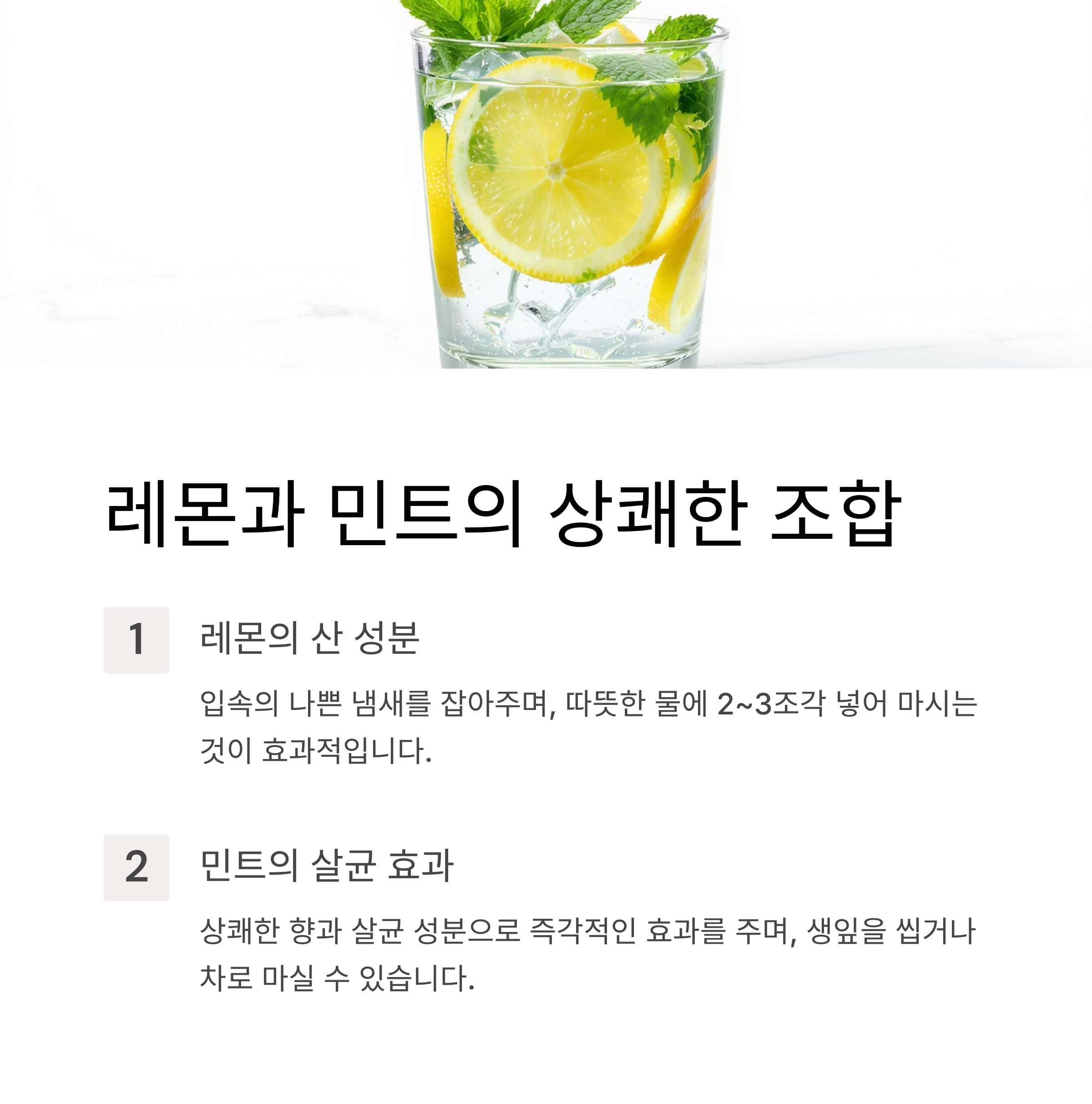 레몬과 민트의 조합