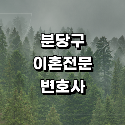 성남 분당구 이혼 변호사