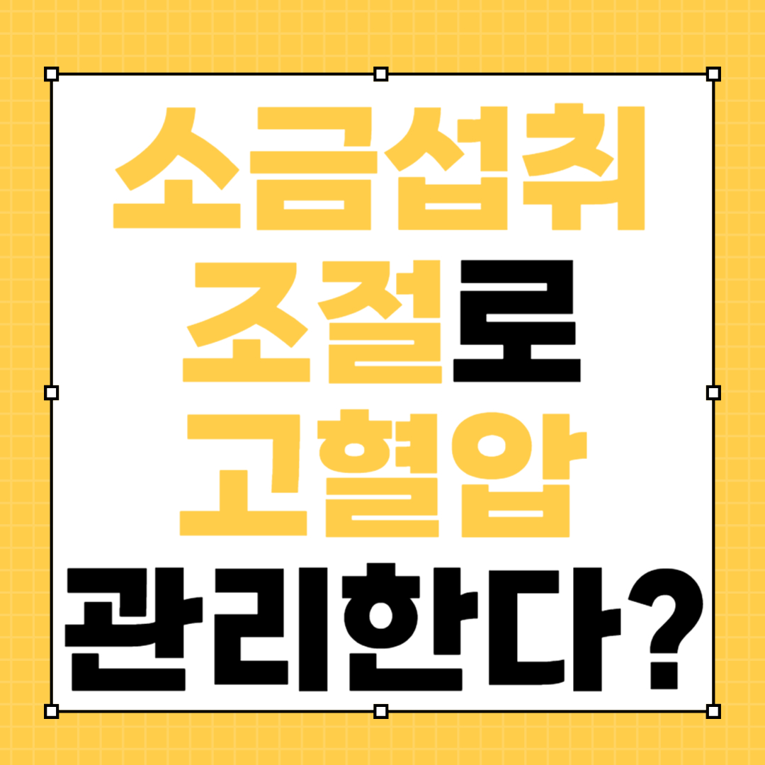 고혈압관리