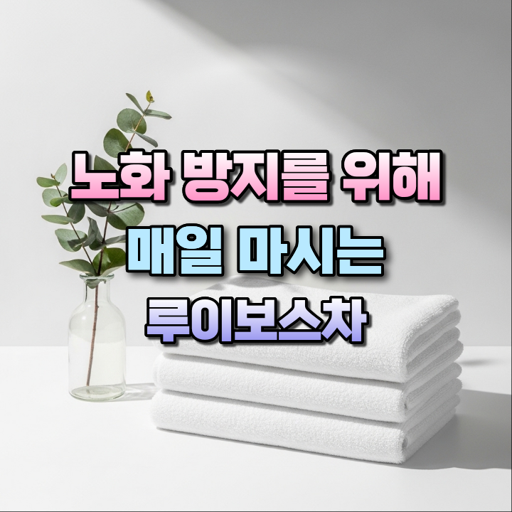 노화방지를위해매일마시는루이보스차