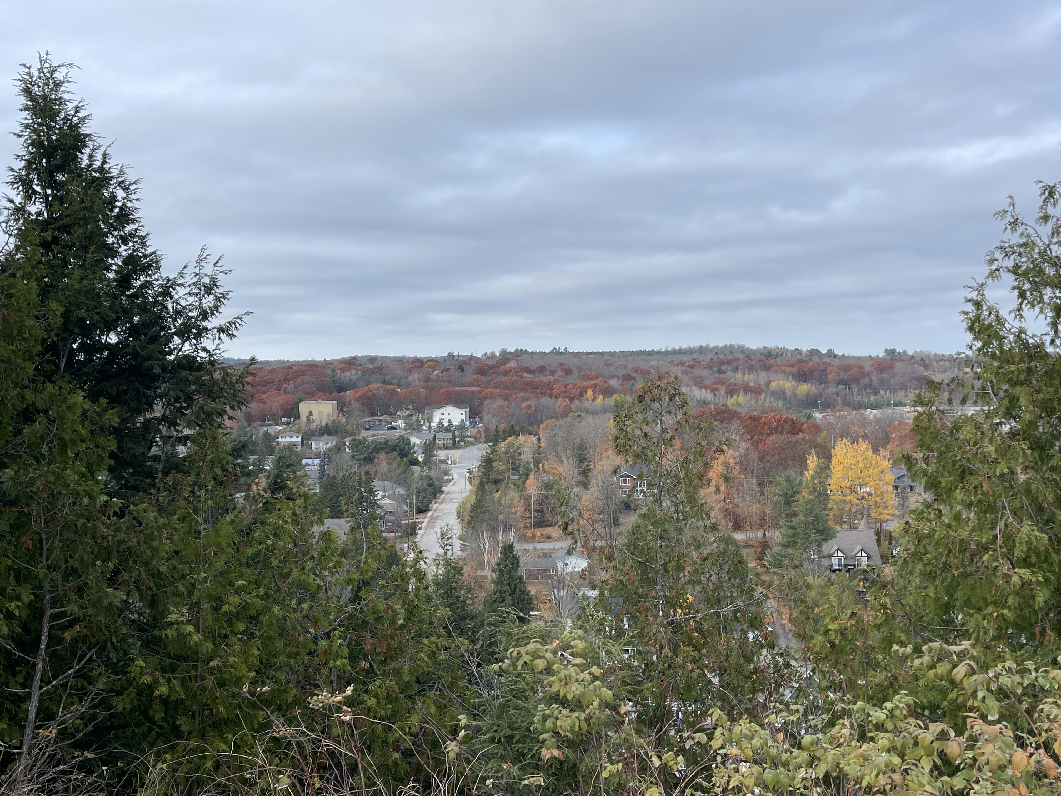Lions Lookout