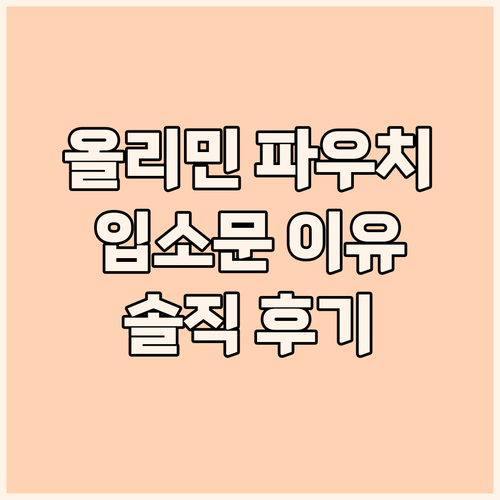 올리민 노트북 파우치, 왜 입소문? ..
