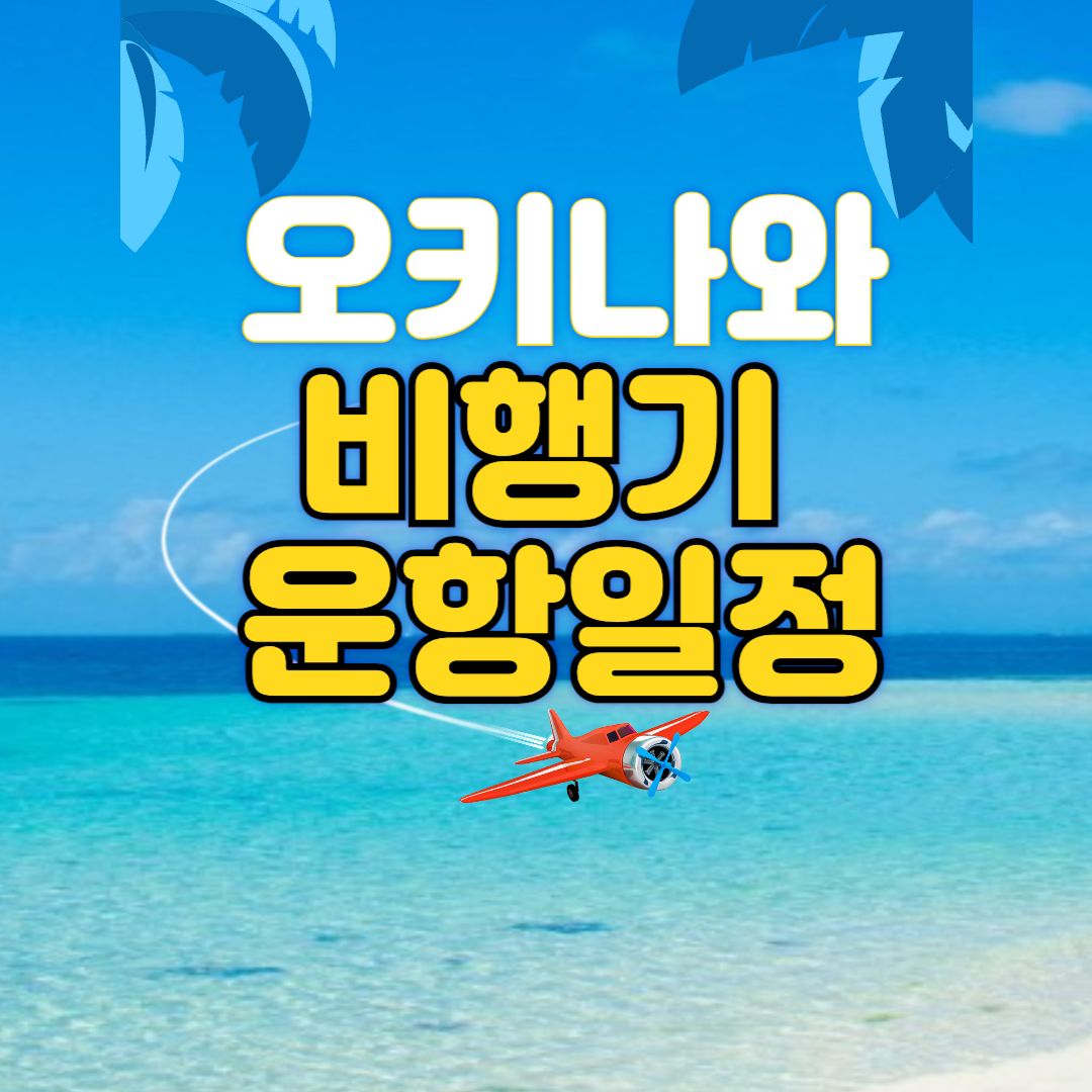 오키나와 비행기 운항일정