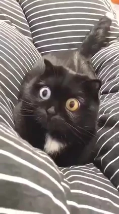 img.webp?credential=yqXZFxpELC7KVnFOS48ylbz2pIh7yKj8&expires=1767193199&allow_ip=&allow_referer=&signature=IVIIXWS%2Bl7Wh9D4oOXilTyKtZMg%3D