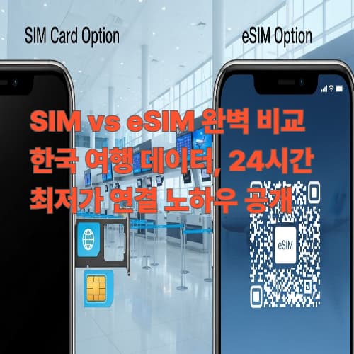 SIM vs eSIM 완벽 비교: 한국 여행 데이터, 24시간 최저가 연결 노하우 공개