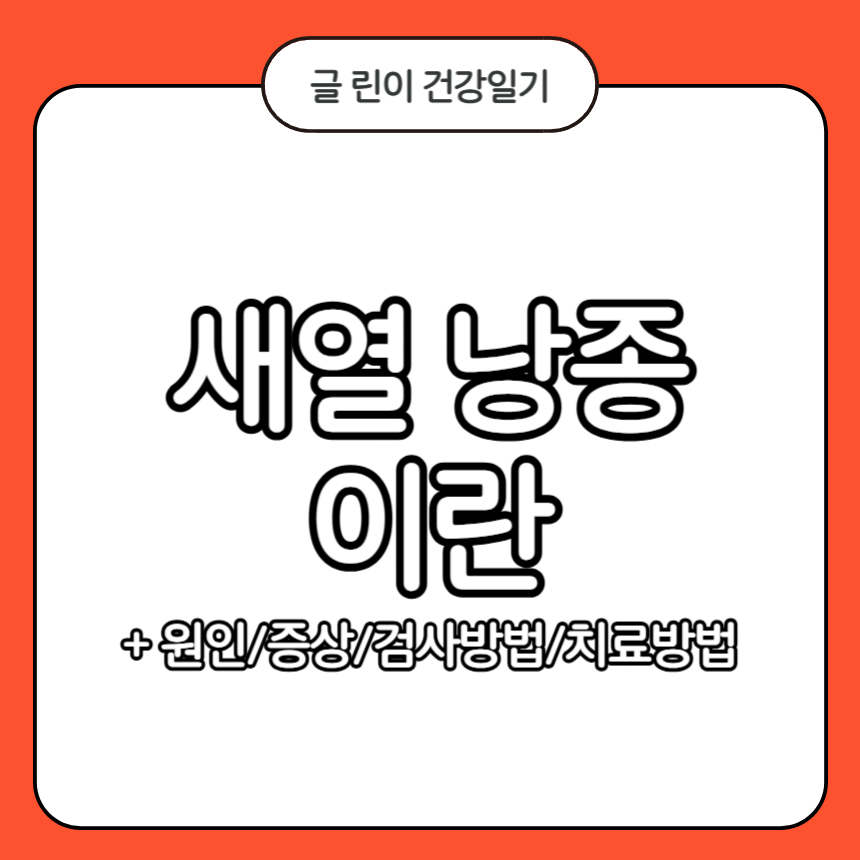 새열 낭종
