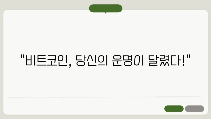 비트코인 시세
