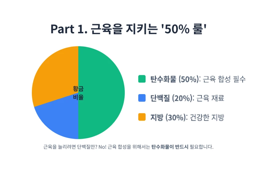 근융을 지키는50%룰 탄수화물의 중요성을 나타낸는 인포그래픽
