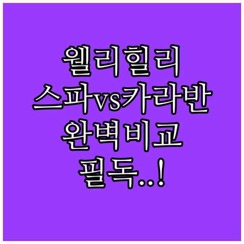 횡성 웰리힐리 스파 펜션과 카라반 숙..
