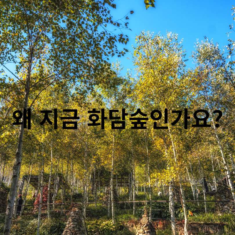 화담숲 수국 축제 