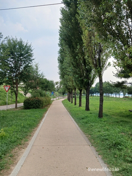 정돈된 나무길 산책로 – 식후 낮잠을 피하기 위해 가볍게 걷기 좋은 조용한 공간