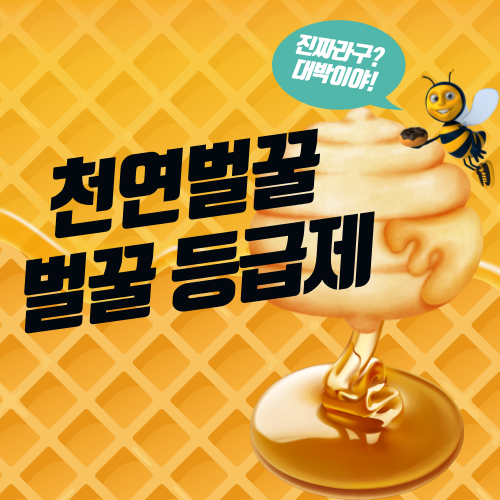 천연벌꿀등급제