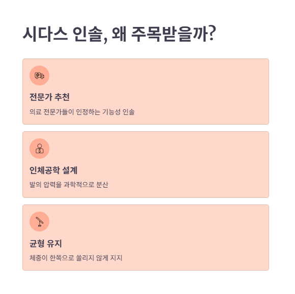 시다스 인솔이 주목받는 이유