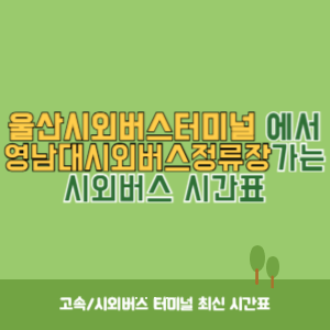 울산시외버스터미널에서 영남대시외버스정류장 가는 시외버스 시간표 최신정보