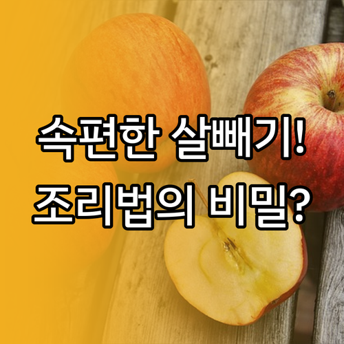 위장 장애 예방하는 다이어트 조리 원..