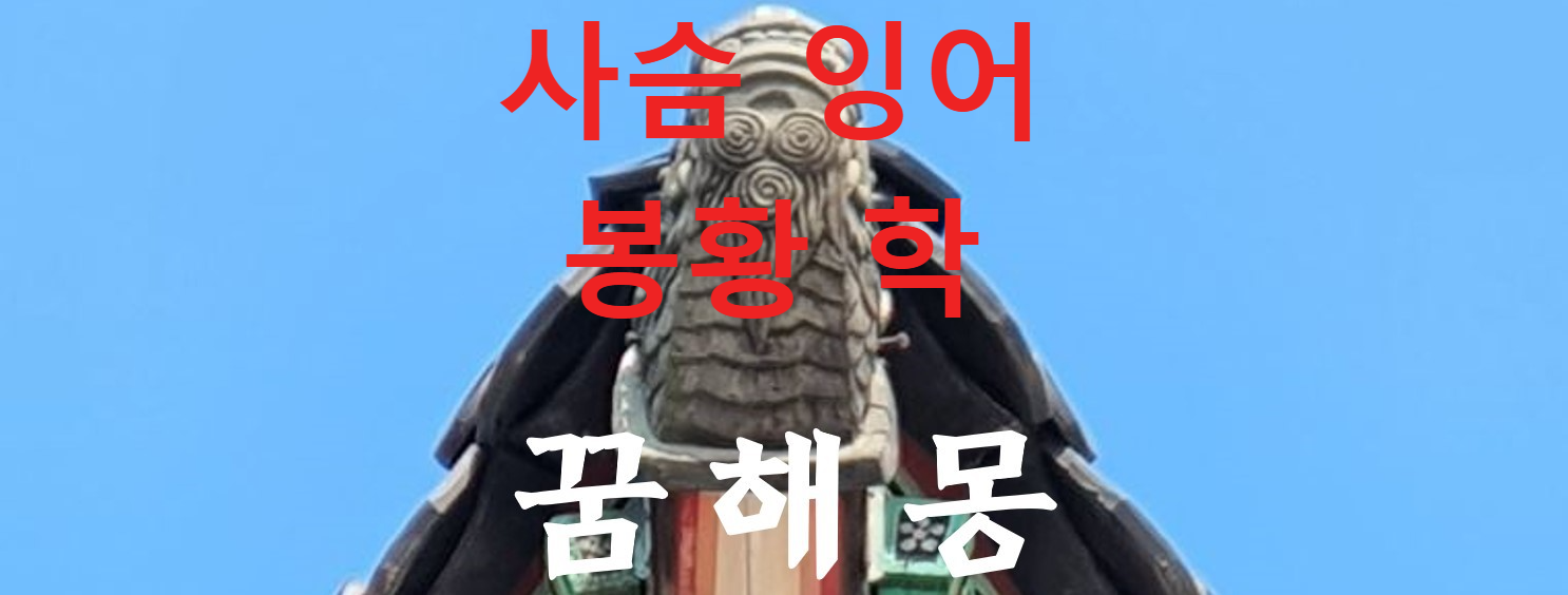 꿈해몽