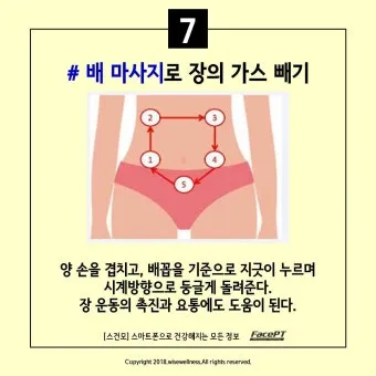 배에 가스가 차고 방귀를 자주 뀜 원인부터 해결책까지 한번에 알아보기_14