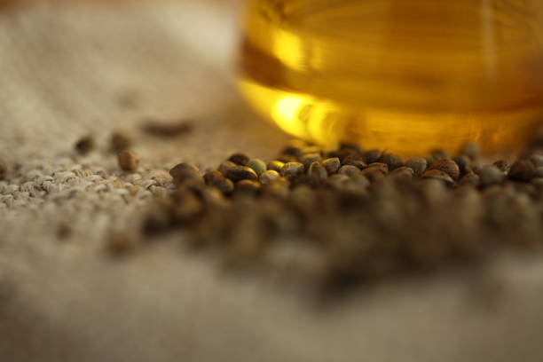 대마종자유 당뇨