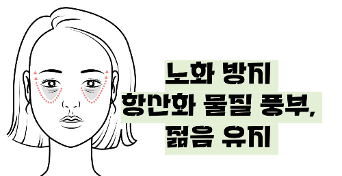 키위 효능 부작용