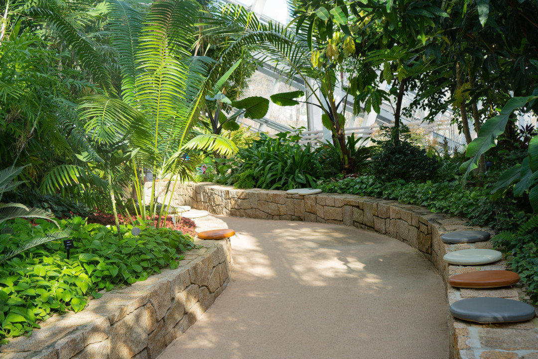 영흥 수목원 산책로