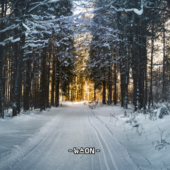 1월에 가볼만한 국내 여행지