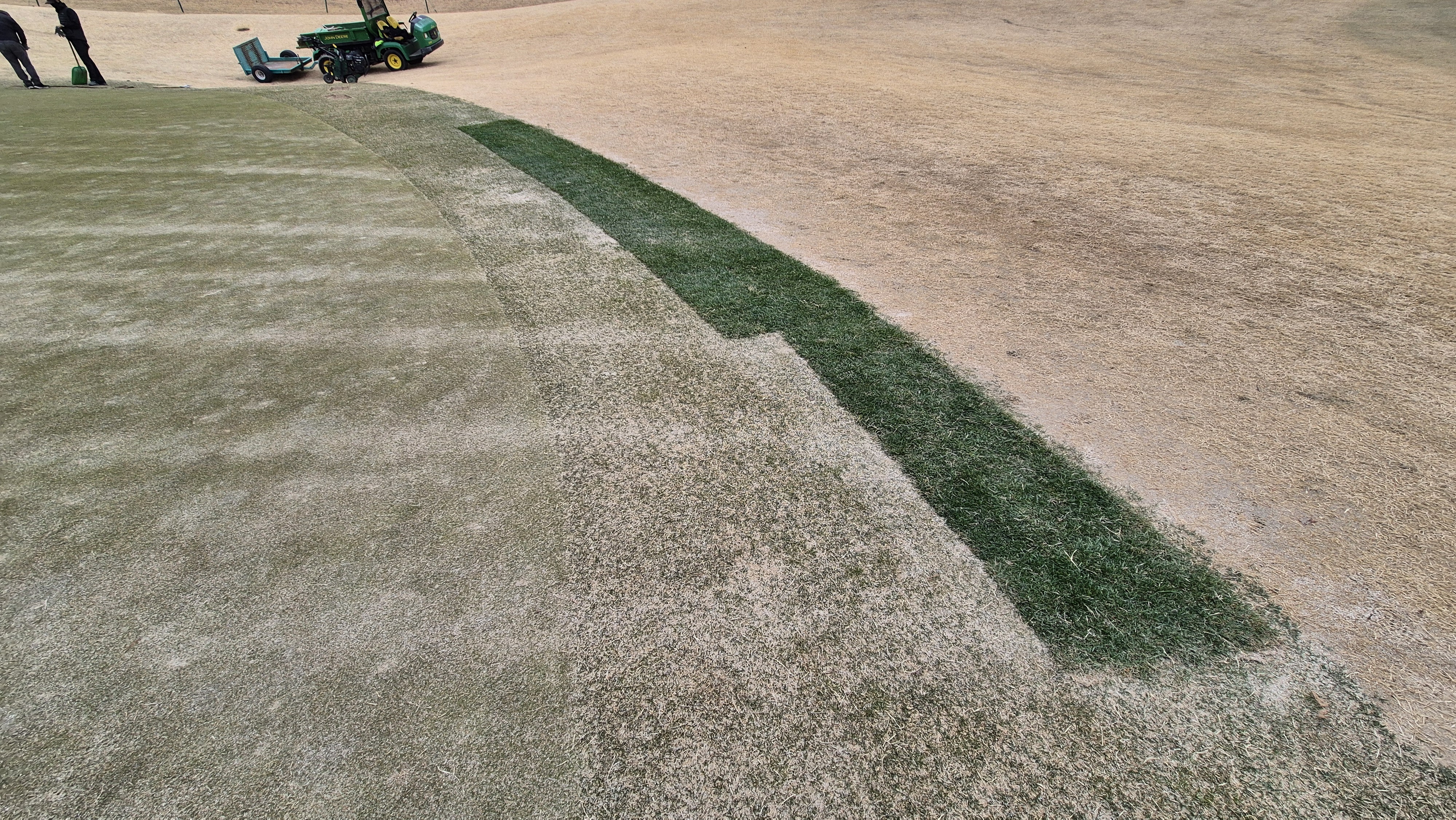 세현cc 그린 관리 상태